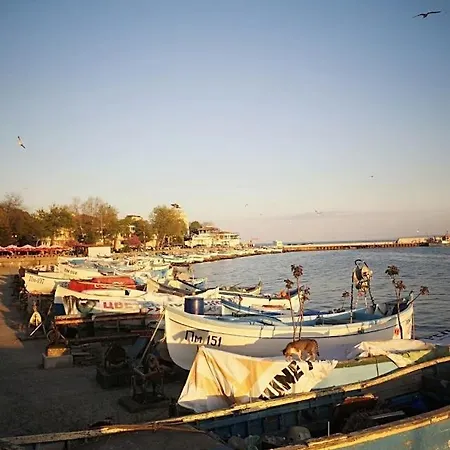 Konukevi флора Ahyolu